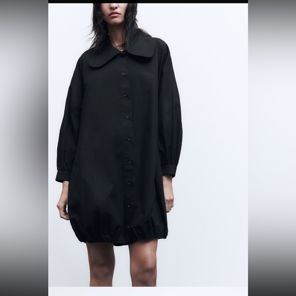 BIG COLLAR POPLIN DRESS - Picture 2 of 10